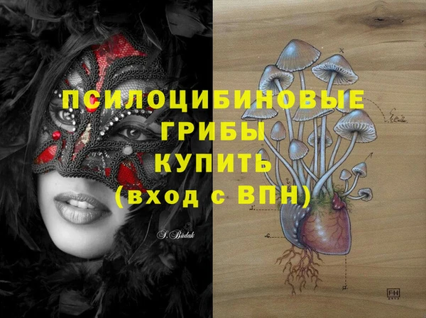 амф Аркадак